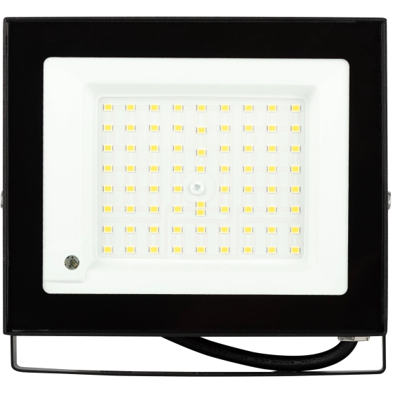  Прожектор  50Вт, датчик движения /43576/ 